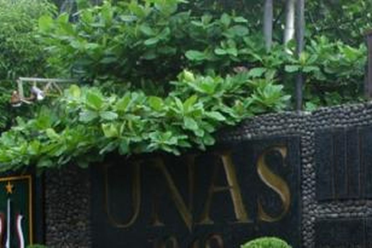 Ilustrasi Universitas Nasional (Unas)