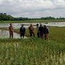 Sawah Kebanjiran, Petani Padi di Tangerang Rugi Rp 344 Juta