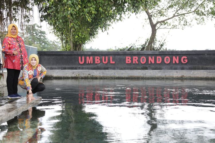 Umbul Berondong