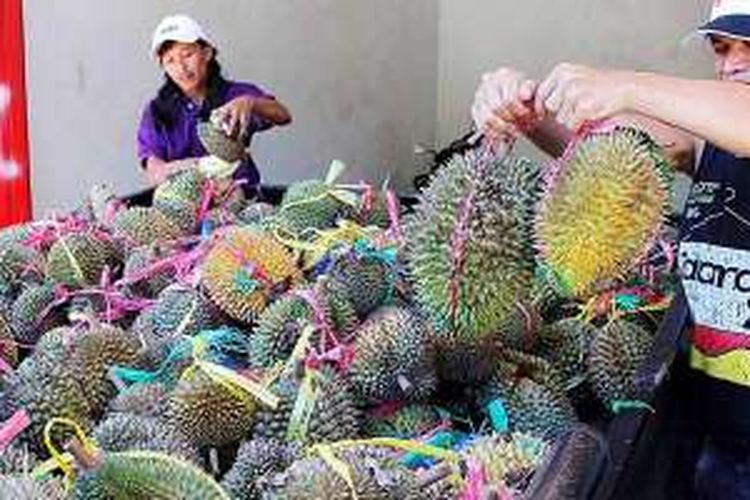 Wilayah pegunungan di sisi barat Kabupaten Malang, Jawa Timur, selama ini dikenal sebagai salah satu penghasil durian dengan nama umum durian kasembon. Lima bulan dalam setahun, petani setempat meraup rezeki dari durian. Tampak aktivitas memuat durian ke bak pikap di salah satu pengepul besar durian di Desa Pait, Kecamatan Kasembon, Minggu (14/2/2016).
