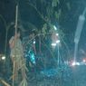 Gara-gara Puntung Rokok, Lahan Seluas 5 Hektar di Cilacap Terbakar