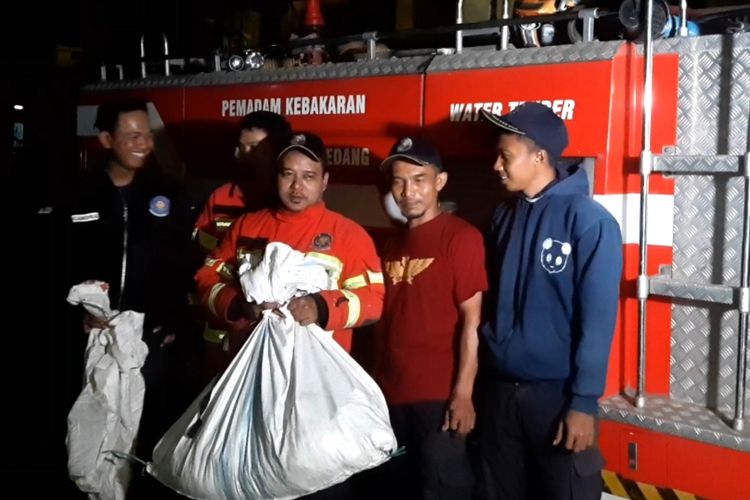 Petugas Damkar mengevakuasi sarang tawon Vespa Affinis di rumah warga.