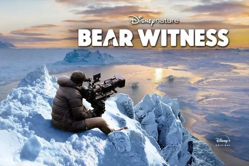 Sinopsis Bear Witness, Film Dokumenter Disneynature