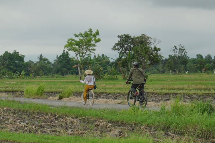 Wisatawan berkeliling di Desa Bilebante menggunakan sepeda.