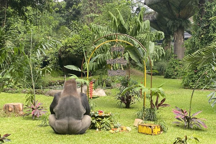 Harga Tiket Masuk Ragunan Saat Libur Sekolah 2026 dan Cara Belinya