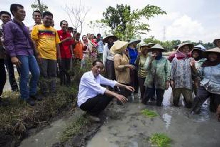 Bakal calon presiden dari Partai Demokrasi Indonesia Perjuangan (PDI-P), Joko Widodo (duduk tengah), mengunjungi para petani di Widodaren, Ngawi, Jawa Timur, Senin (31/3/2014). Pria yang akrab disapa Jokowi ini menanyakan kepada petani tentang bibit, irigasi dan juga kesejahteraan hidup para petani.