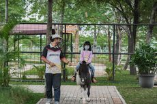 Branchsto Equestrian Park, Tempat Wisata Naik Kuda untuk Keluarga di Tangerang