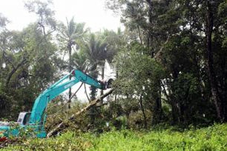 Sebuah alat berat sedang merobohkan pohon mangrove yang berusia lebih dari 100 tahun di bentaran sungai Marat, Beo, Talaud, Sulut.