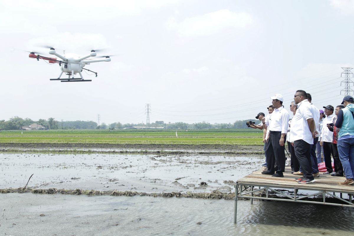 Menteri Pertanian Andi Amran Sulaiman mencoba menggunakan drone penabur benih padi di Kediri, Jawa Timur, Rabu (9/10/2019).