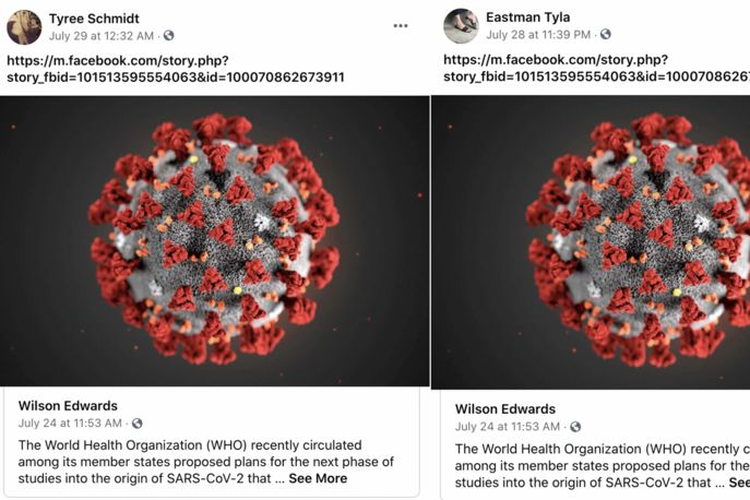 Tyla dan Schmidt juga menyebarkan daftar berita-berita pro-China yang panjang dan identik di halaman Facebook mereka, memuji penanganan pandemi oleh Beijing.