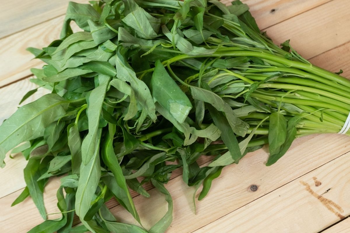 Ilustrasi kangkung.