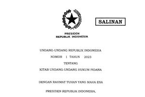 KUHP Baru Sudah Berlaku, Bawa Lari Perempuan dengan Janji Cinta Palsu Bisa Dipidana