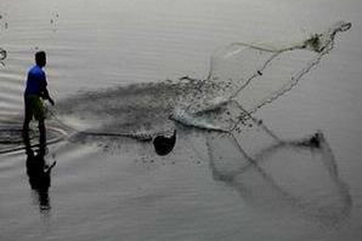 Pencari Ikan di Sungai Citanduy--Menyusutnya debit air di Sungai Citanduy, Kota Banjar, yang merupakan perbatasan Provinsi Jawa Barat dan Jawa Tengah, dimanfaatkan warga untuk mencari ikan.