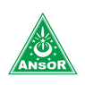 Gerakan Pemuda Ansor (GP Ansor): Sejarah, Tujuan, hingga Arti Lambang
