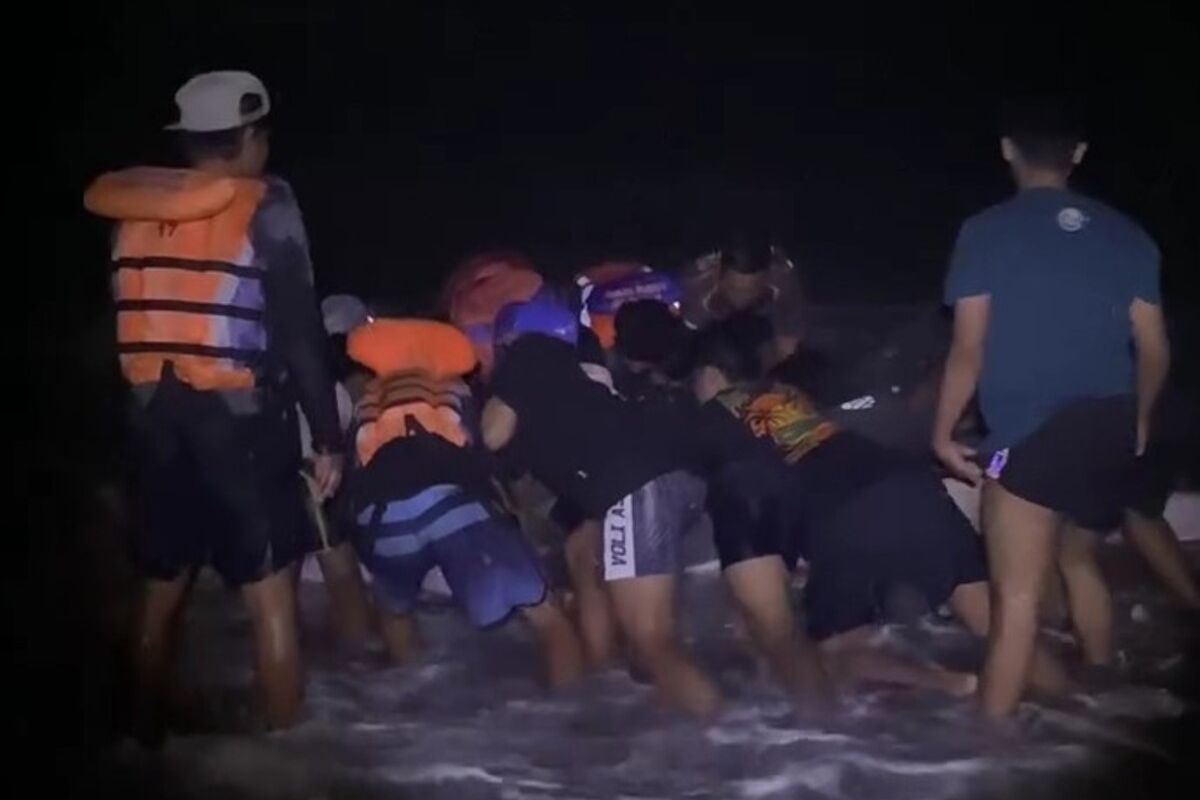 Viral Video SAR Parangtritis Selamatkan Hiu Tutul yang Terdampar