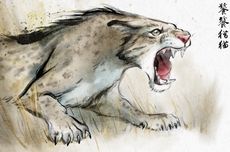 PM Nielsen Respons Trump Mau Kuasai Greenland: Ini Negara Kami!