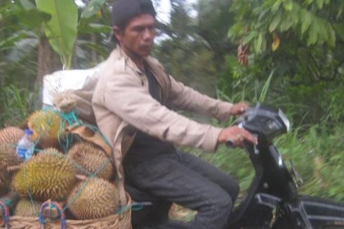 Durian Sawang, Tersohor Turun-temurun 