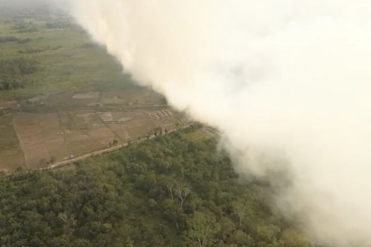 50 Hektare Lahan Gambut di Kukar Terbakar, Ratusan Orang Dievakuasi 