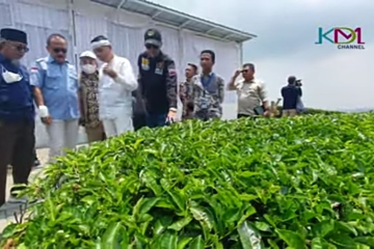 Mantan Bupati Purwakarta dua periode Dedi Mulyadi soroti objek wisata Nimo Highland yang disinyalir merusak lingkungan Perkebunan Teh Malabar, Pangalengan, Kabupaten Bandung, Jawa Barat.