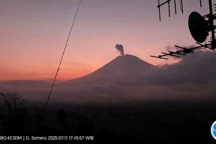 Visual erupsi Gunung Semeru dengan letusan setinggi 800 meter, Jumat (11/7/2025).