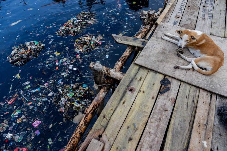 Sampah yang menumpuk di kawasan Teluk Jakarta, Muara Angke, Jakarta Utara, Rabu (14/3/2018). Pencemaran di wilayah Teluk Jakarta mayoritas bersumber dari limbah domestik rumah tangga yang menyebabkan air laut menjadi tercemar dan berdampak buruk bagi ekosistem di lingkungan sekitar. *** Local Caption ***