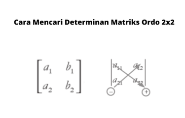 Matriks persegi ordo 2 merupakan suatu susunan persegi berukuran 2x2 dari bilangan-bilangan real.