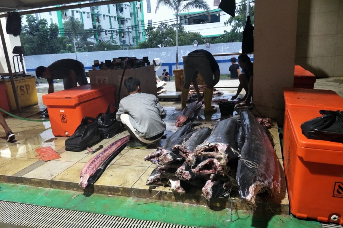 Pasar Ikan Modern Muara Baru, Jakarta Utara, Kamis (21/3/2019).