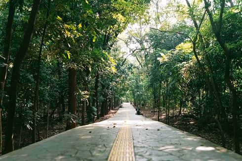 Jam Buka dan Harga Tiket Masuk Hutan Kota Srengseng di Jakarta Barat