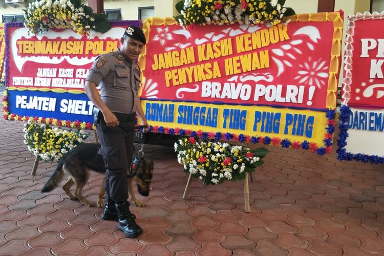 Anjing herder yang dihibahkan di Polres Jakarta Pusat, Jumat (15/11/2019).