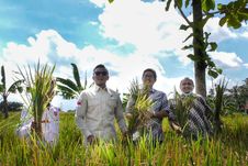 Panen Raya, Pimpinan DPRD Kota Bogor Turun ke Sawah Bersama Petani