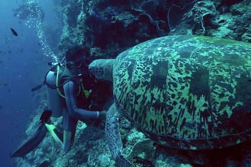 3 Ton Sampah Diangkut dari Pulau Bunaken