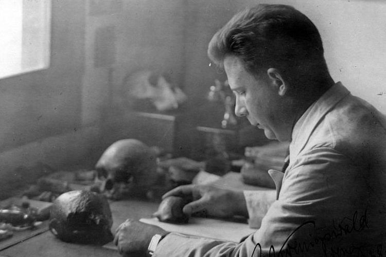 Gustav Heinrich Ralph von Koenigswald meneliti fosil tengkorak anak-anak yang ditemukannya di Jawa pada tahun 1938.