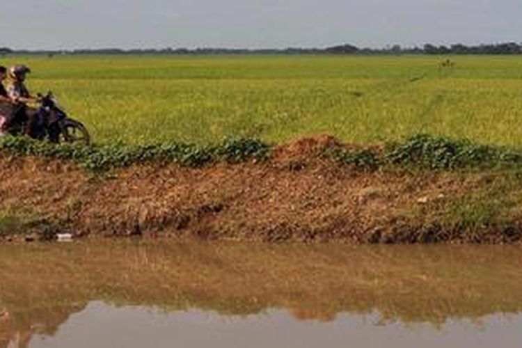 Karawang saat ini merupakan kawasan lumbung padi jawa barat, tetapi belum tentu untuk masa yang akan