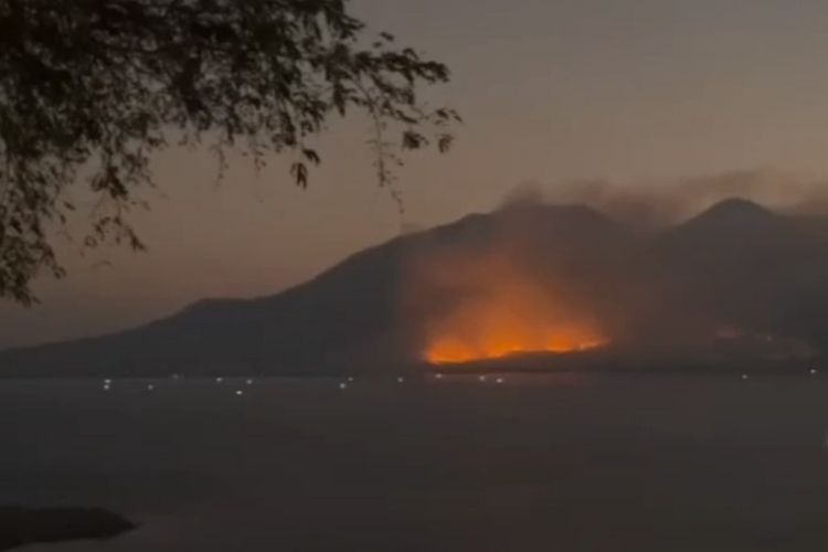 Foto: Kebakaran lahan di Desa Nobo, Kabupaten Flores Timur, NTT, Jumat (25/8/2023).