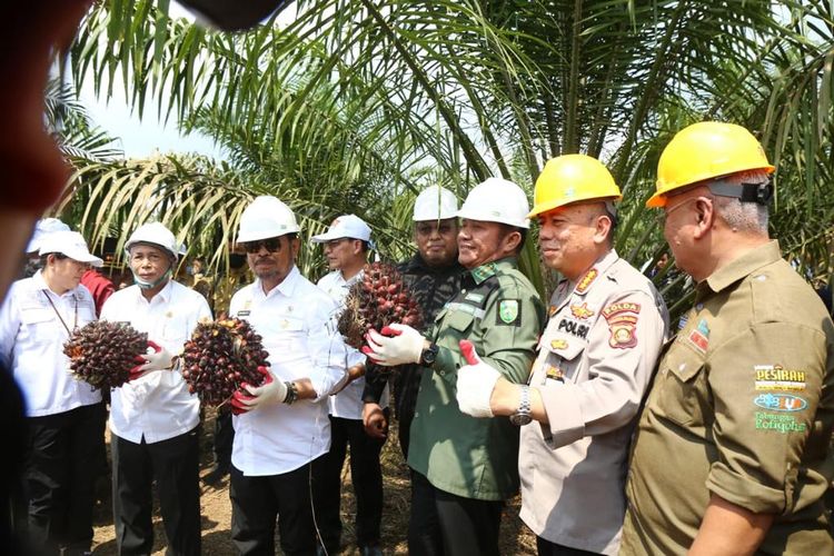 Mentan Syahrul Yasin bersama Gubernur Sumatera Selatan (Sumsel) Herman Deru dalam acara Panen Perdana Kelapa Sawit Program Peremajaan Sawit Rakyat (PSR) di Kebun Kelapa Sawit Desa Bumi Harapan, Kecamatan Teluk Gelam, Kabupaten Ogan Komering Ilir (OKI), Senin (17/7/2023). 
