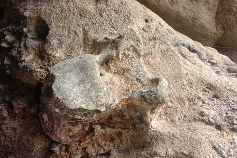 Tim Museum Geologi Bandung Akan Teliti Temuan Benda Diduga Fosil Hewan Purba di Waduk Saguling
