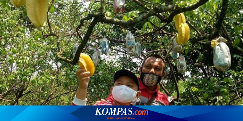 Benarkah Taman Buah Mekarsari Tutup Permanen Januari 2021 ...