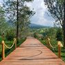 Panduan Wisata Tea Bridge Gunung Mas, Harga Tiket Masuk hingga Rute  