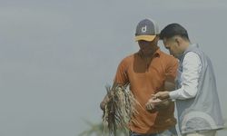 Serapan Awal Mei Tembus 2 Juta Ton Setara Beras, Stok Bulog Lampaui 3,6 Juta Ton