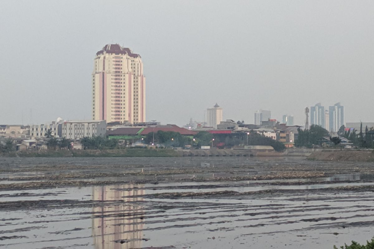 Sedimen lumpur semakin jelas terlihat di Waduk Pluit, Jakarta Utara, Selasa (11/6/2019). Waduk itu sengaja dikosongkan airnya dan sedimennya dikeruk.
