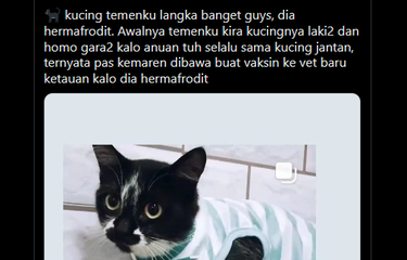 yakutistan belgeseli