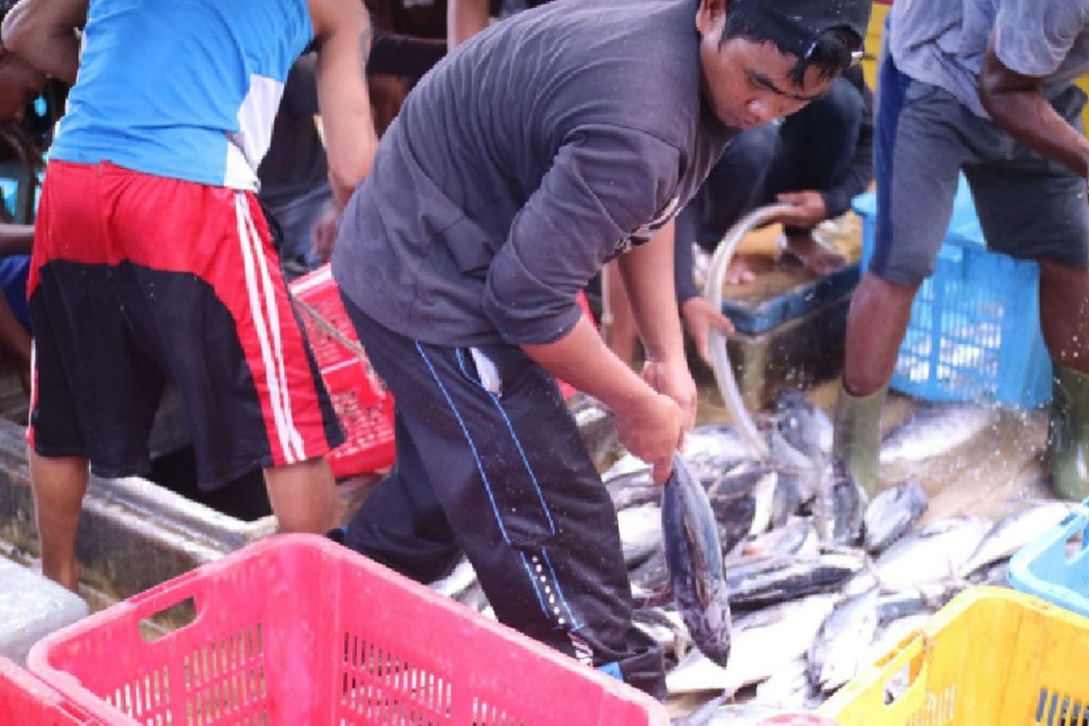 Sepanjang 2022, FishLog catat distribusi 10.000 ton ikan ke seluruh Indonesia dengan gandeng lebih dari 234 mitra cold storage.