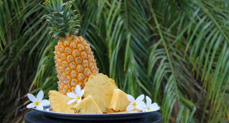 9 Makanan Khas Kota Prabumulih, Cocok untuk Kuliner hingga Oleh-oleh