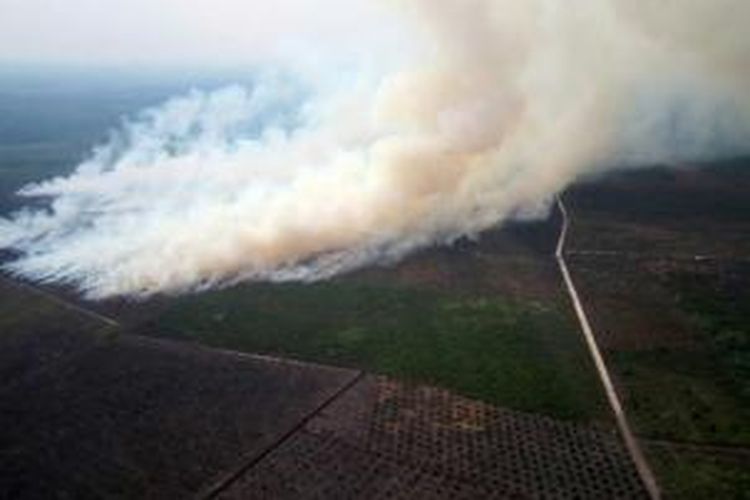 Kawasan perkebunan di Rokan Hilir, Bengkalis, Riau, yang terbakar dan menciptakan asap tebal, 17 Juni 2013. Asap menyebar dan menyelimuti negara tetangga seperti Singapura dan Malaysia.