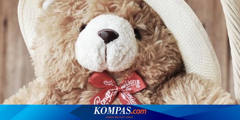 Dikecam Teknik Siksa Boneka Teddy Bear Agar Anak Mau Makan Halaman All Kompas Com