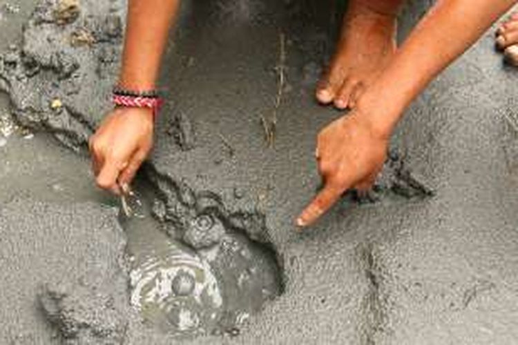 Sejumlah gelembung gas muncul di sekitar lokasi semburan pasir dan gas di belakang kantor Kecamatan Tripa Makmur, Kabupaten Nagan Raya, Aceh,  Senin (12/12/12).