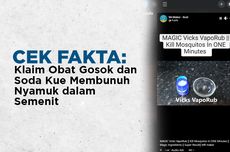 INFOGRAFIK: Benarkah Obat Gosok dan Soda Kue Bisa Membunuh Nyamuk dalam Semenit?