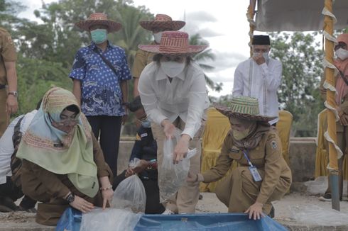 Jaga Kelestarian Ikan Endemik, Kementerian KP Kembangkan Pembenihan Ikan Gabus di Kalsel