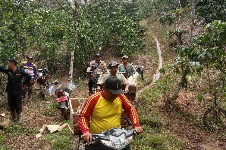 Proses evakuasi warga Dusun Cecahan, Lampung Barat setelah ternak warga setempat dimangsa hewan buas diduga harimau.