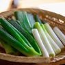 Cara Mudah Menanam Daun Bawang Sisa Dapur dengan Air